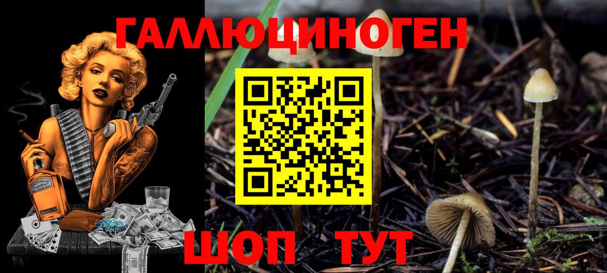 Галлюциногенные грибы GOLDEN TEACHER  Вход с VPN  Балашиха  Галлюциногенные грибы Cubensis 